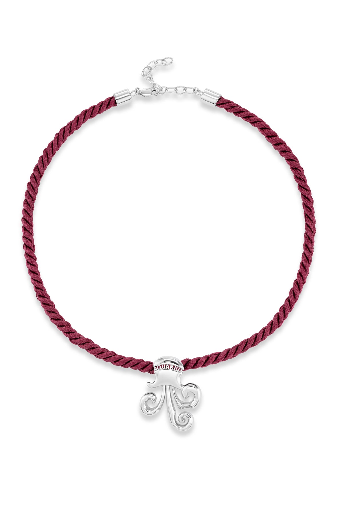 Silver Zodiac Necklace | Zodiac Jewelry | Alison Lou Silver Zodiac