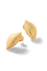 Large Shell Earrings - In Stock
