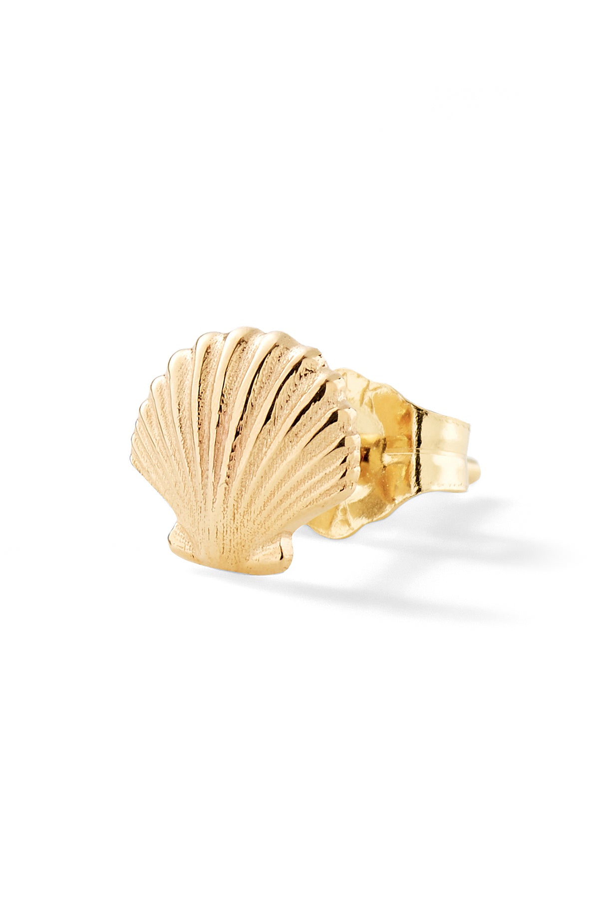 Seashell Stud